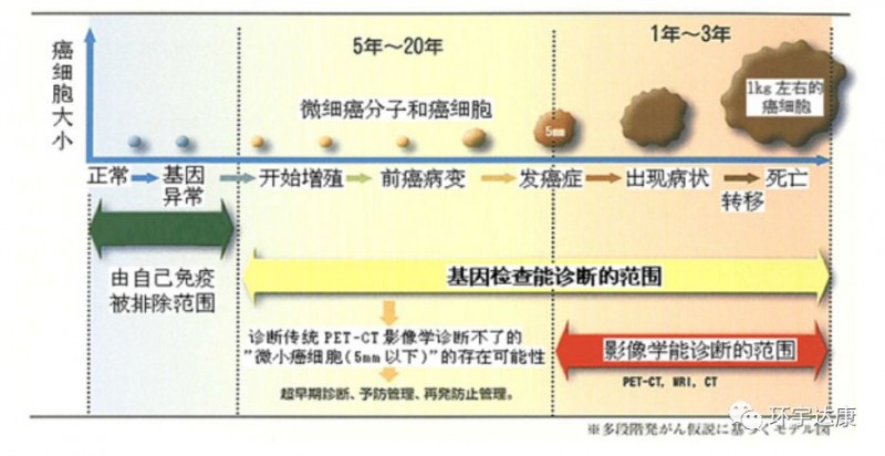 癌细胞的发展过程