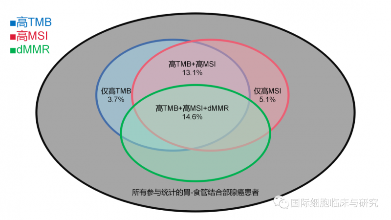 高TMB与高MSI