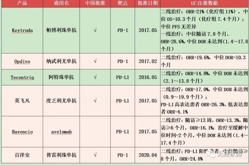 6款获批尿路上皮癌适应症的PD-1/PD-L1药物