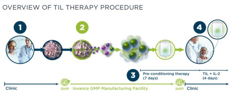 TIL疗法治疗流程