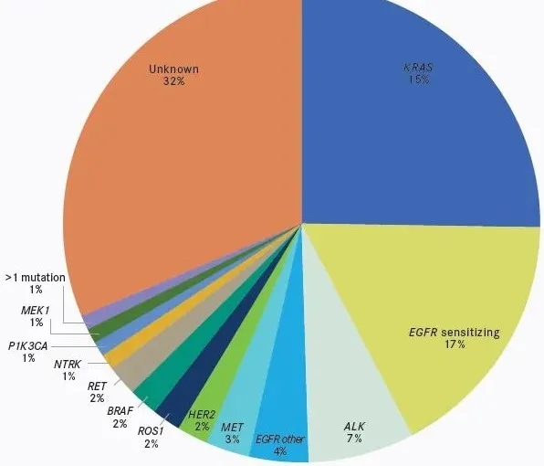 肺癌基因突变靶点及概率