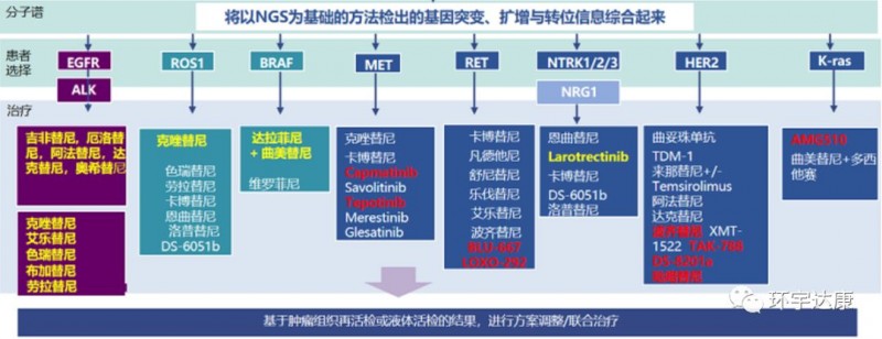 肺癌基因突变及对应的靶向药