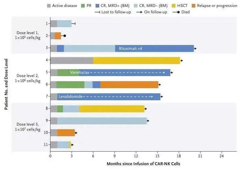 CAR-NK治疗效果