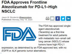 非小细胞肺癌免疫疗法PD-L1治疗药物阿替利珠单抗(Atezolizumab)|泰圣奇(Tecentriq)单药提前获批一线治疗
