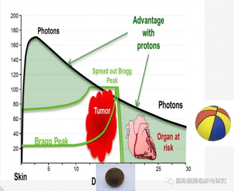 质子的物理学特性