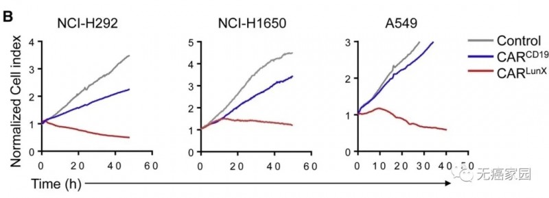 CAR lunX T 细胞治疗数据