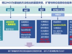 2020年中国临床肿瘤学会(CSCO)非小细胞肺癌诊疗指南,的肺癌靶向药物、肺癌基因突变靶点倾情奉献