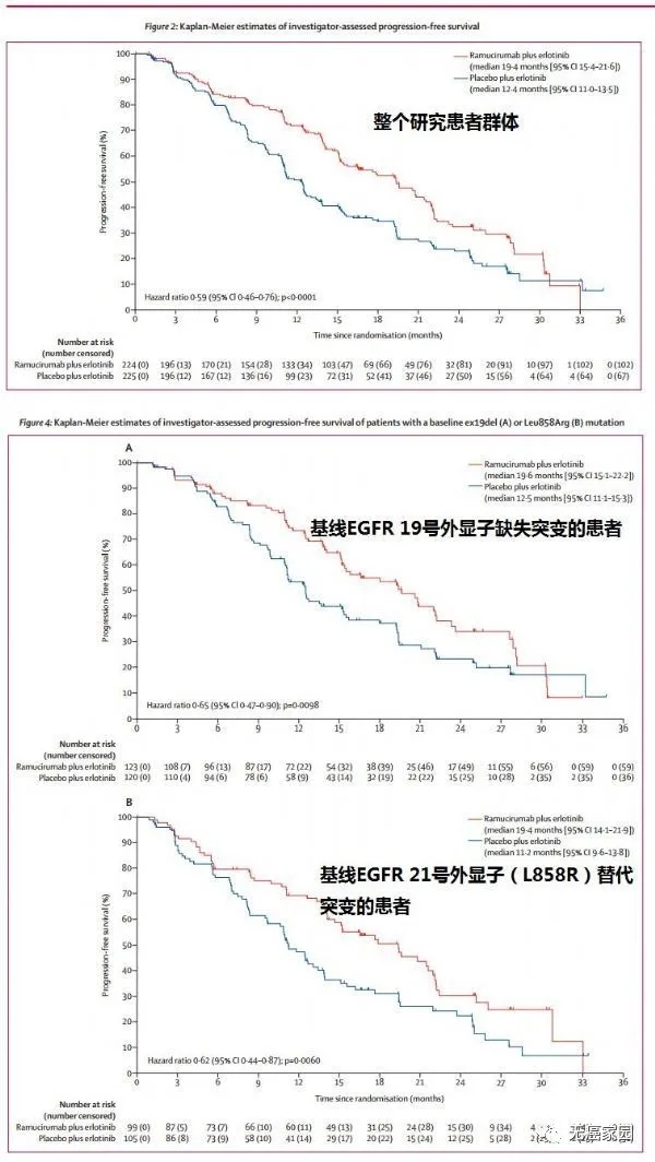 Cyramza联合erlotinib治疗数据