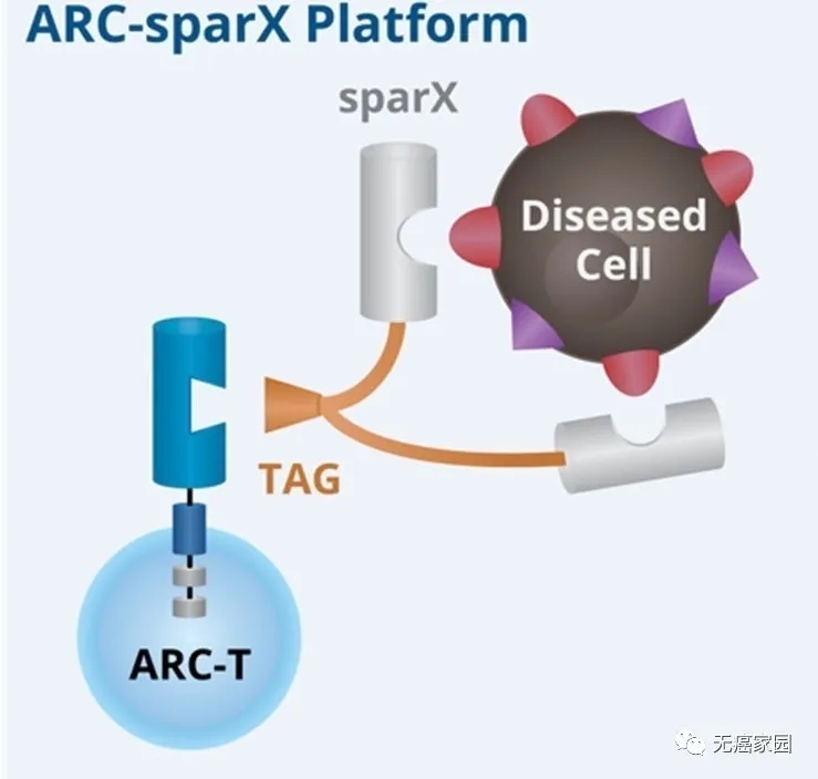 ARC-sparX平台