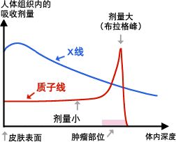 质子治疗对比传统放疗的优势