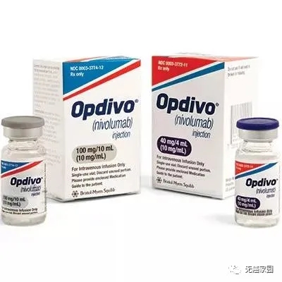 O药|纳武利尤单抗(Nivolumab)|欧狄沃(Opdivo)