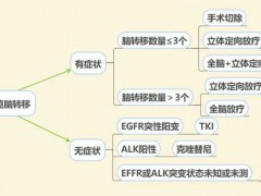 肺癌脑转移治疗方案,肺癌脑转移的治疗方案,肺癌脑转移怎么治疗