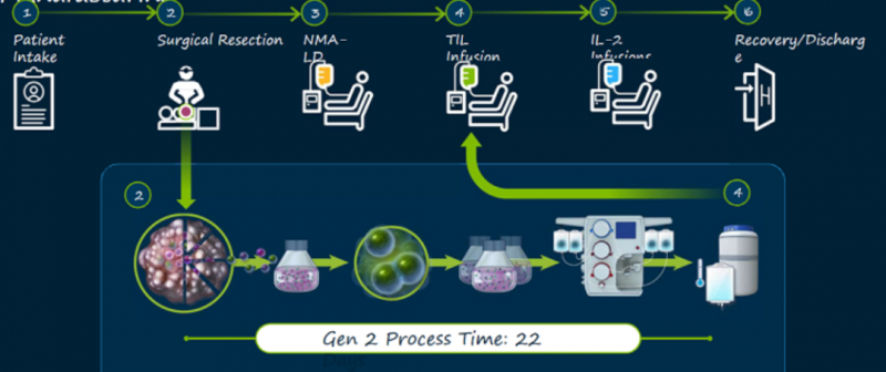 TILs疗法流程