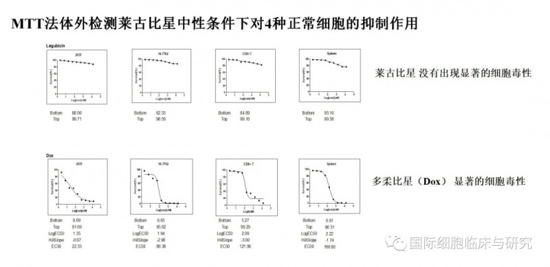 MTT法体外检测莱古比星中性条件下对4种正常细胞的抑制作用