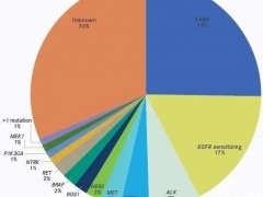 非小细胞肺癌靶向基因检测使用FoundationOne CDx有助于实现个性化精准治疗