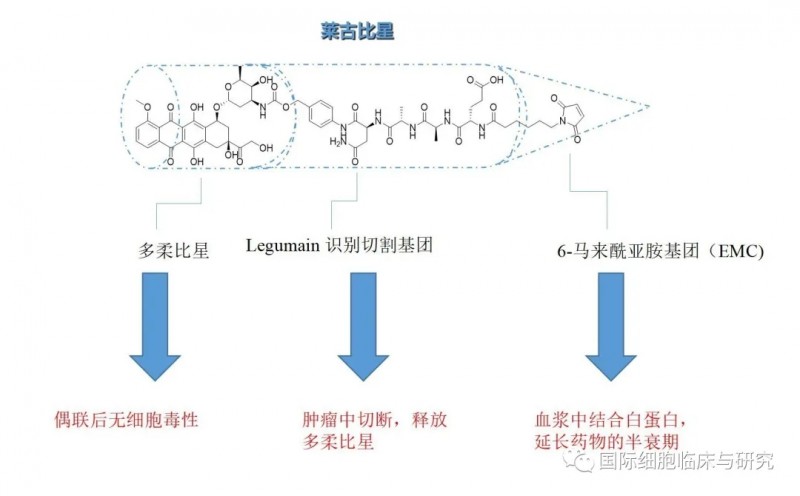 莱古比星分子式