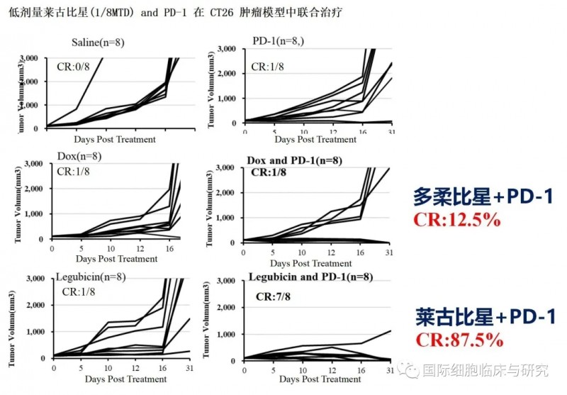 低剂量莱古比星(1/8MTD)和PD-1在CT26肿瘤模型中联合治疗