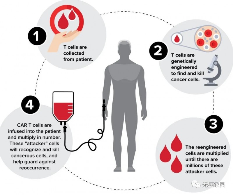 CAR-T 细胞疗法的一般流程