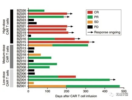 CAR-T治疗效果统计