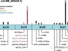 中国自主研发广谱抗癌新药,EGFR基因突变靶向药JMT101临床试验招募中