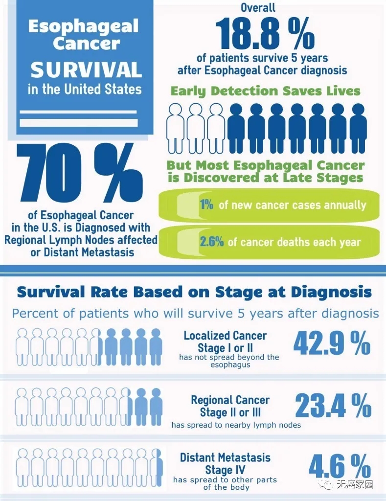 食管癌五年生存率