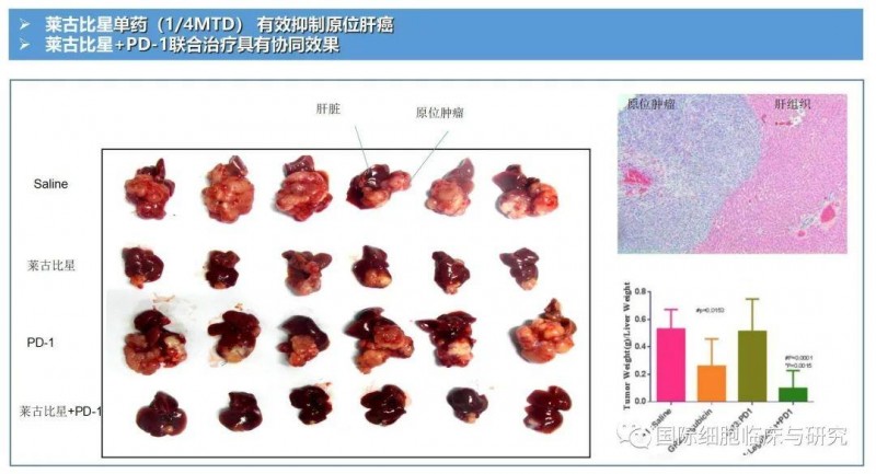 莱古比星联合PD-1和多柔比星联合PD-1肿瘤缩小对比