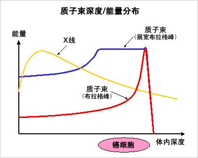 质子放疗和传统放疗能量分布对比