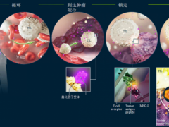 新型细胞免疫疗法,肿瘤浸润淋巴细胞,TIL疗法,TILs疗法让KRAS突变癌症快速消失