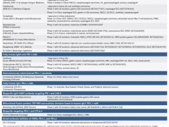 2020年中国免疫治疗药物,国内PD1/PD-L1药物,中国临床肿瘤学会(CSCO)治疗指南出炉