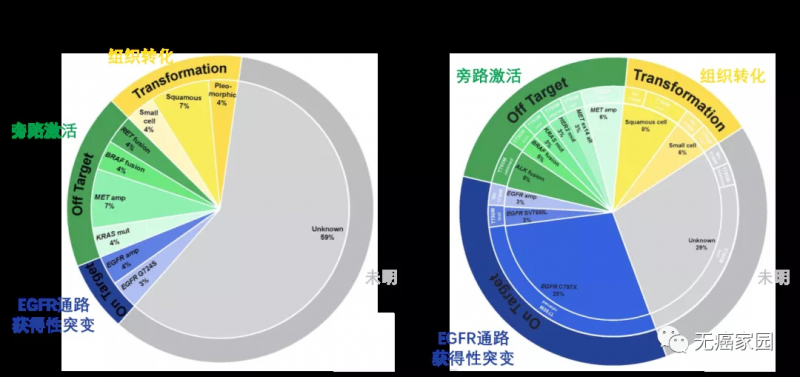 一线和二线奥希替尼耐药机制差异