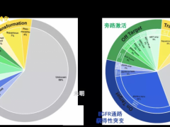 靶向药奥希替尼耐药后怎么办,AZD9291/泰瑞莎/奥希替尼耐药怎么办