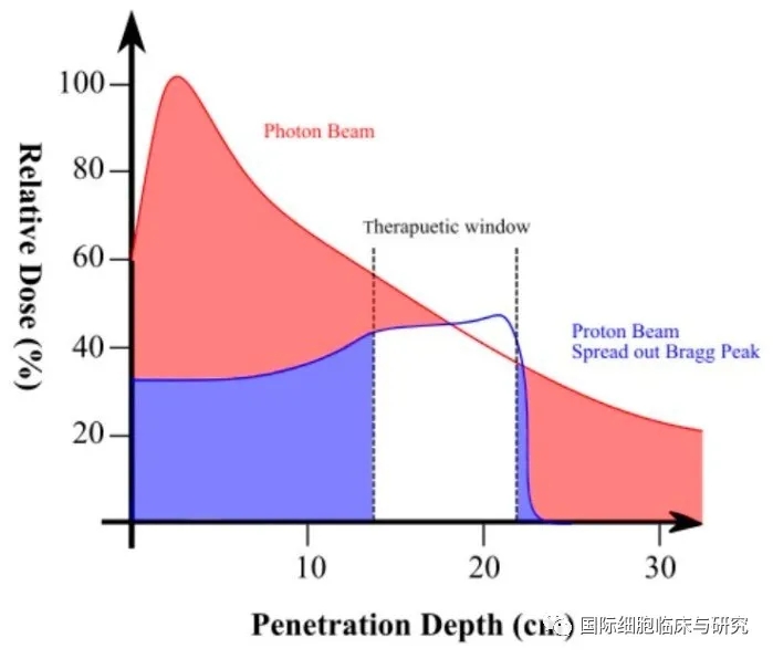 质子疗法和光子疗法照射剂量对比