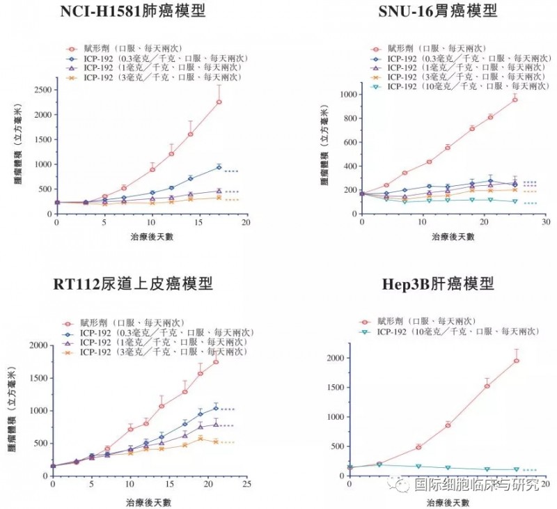 赋形剂为安慰剂的主要成分，为空白对照组