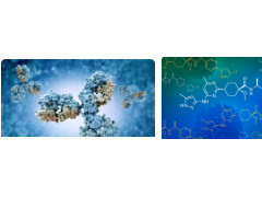 抗癌计划,抗癌方舟计划-肿瘤基因检测+癌症新药临床试验+3D类器官药物筛选