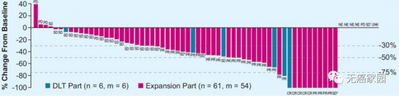 KEYNOTE-524研究结果