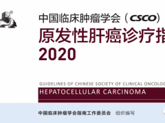 2020年中国临床肿瘤学会(CSCO)肝癌治疗指南及肝癌新药盘点更新