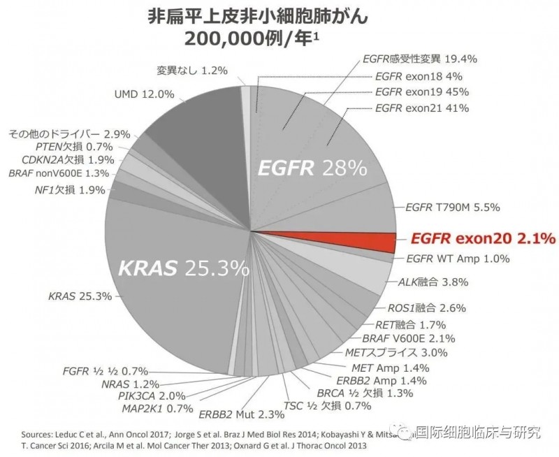 EGFR基因突变类型