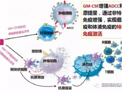 癌症肿瘤免疫治疗适应症,癌症肿瘤免疫治疗分类