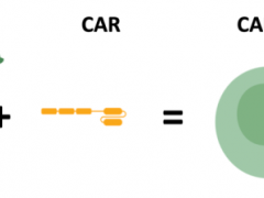 胃癌CAR-T细胞疗法治疗和胰腺癌CAR-T细胞疗法治疗效果怎么样