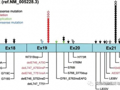 非小细胞肺癌EGFR外显子20插入突变靶向药JMT-101临床试验招募中