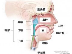 头颈部肿瘤放疗,最全头颈部肿瘤放射治疗精准放疗方案值得收藏