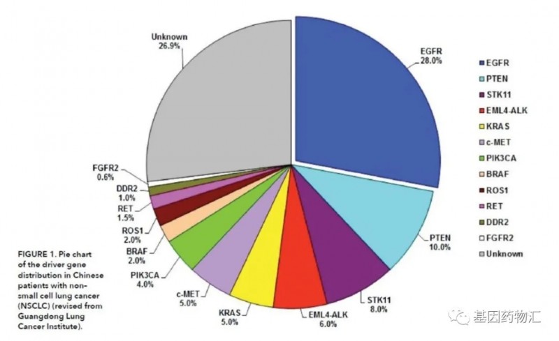 肺癌基因突变靶点及突变概率