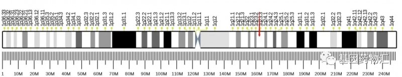 DDR2