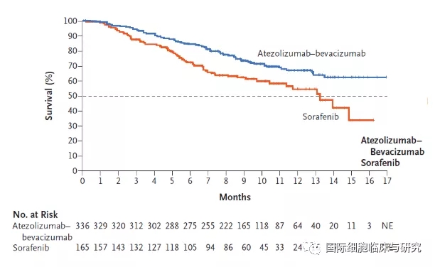 阿替利珠单抗联合贝伐单抗治疗数据