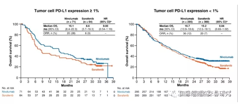 纳武单抗和索拉菲尼无进展生存期