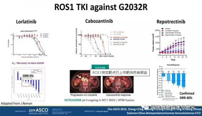 洛普替尼(Repotrectinib)的客观缓解率达40%