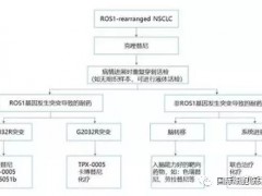 ROS1靶向药,ROS1突变靶向药有哪些,ROS1基因突变靶向药物对比分析