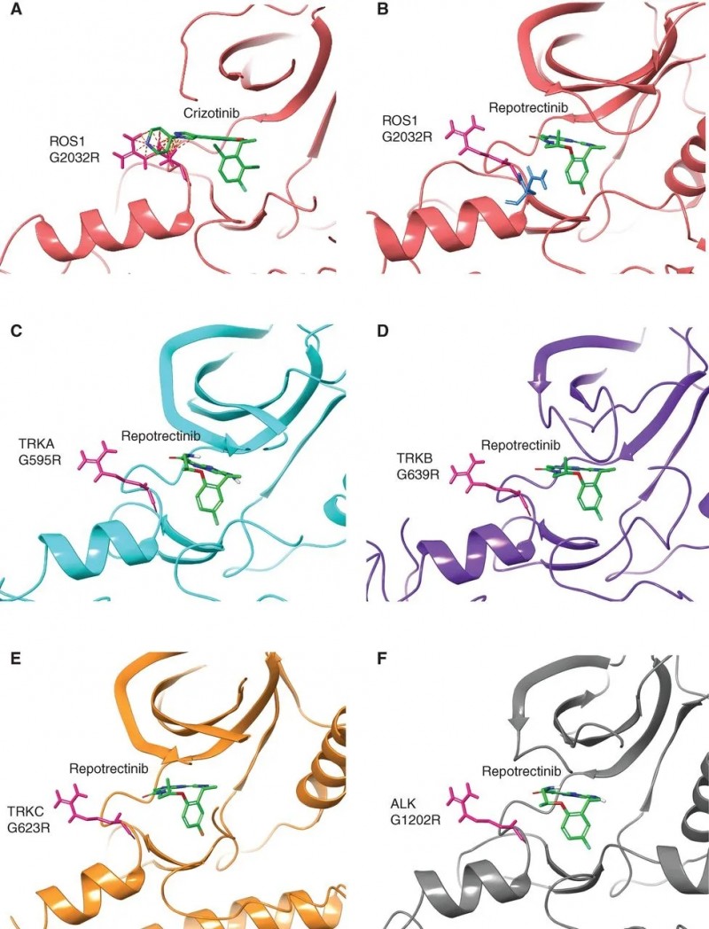 ALK/ROS1/NTRK基因融合突变
