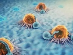 什么是免疫细胞,为什么要存储免疫细胞,免疫细胞存储有必要吗