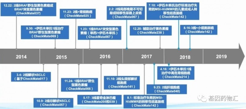 纳武单抗获批的适应症及时间